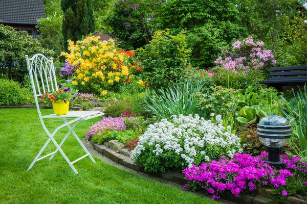 Bright country flower bed in the recreation area