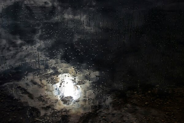 An unusual reflection in a Massachusetts lake