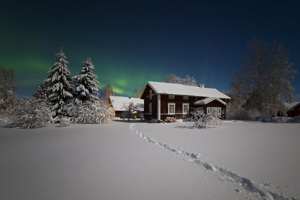 Maison avec des arbres de Noël dans une journée enneigée d hiver