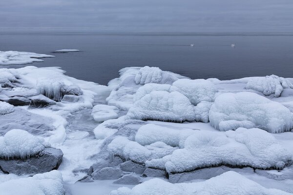 Hielo costero de invierno en Suecia