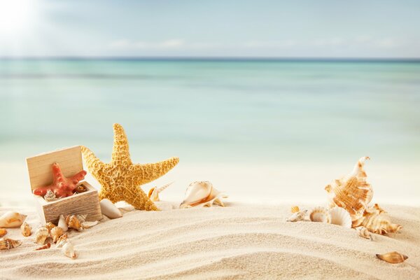 Морской солнечный натюрморт на песке