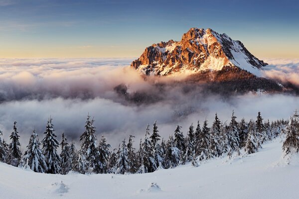 Berge und Wald im Schnee Winterlandschaft