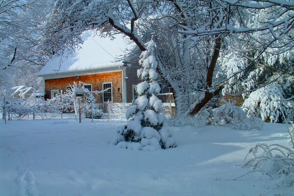Hermosa casa bajo la nieve en invierno