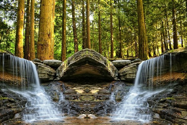 Schöner Wasserfall unter hohen Bäumen