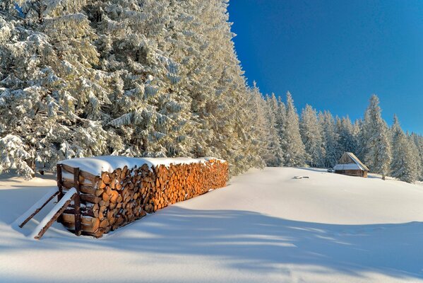 A snow-covered woodpile in the winter forest