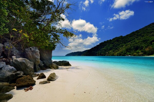 Isla turística en el océano. Verano de playa