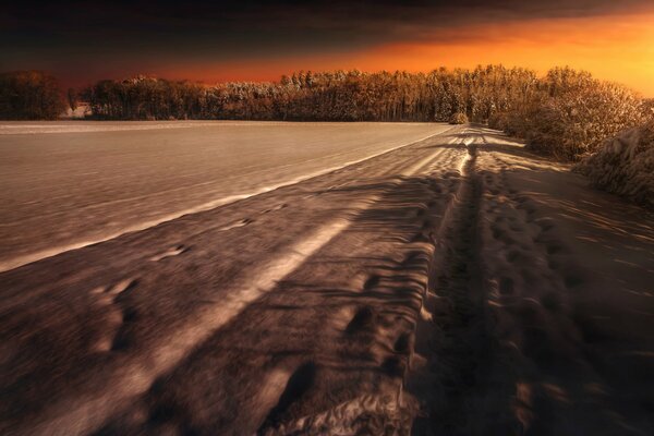 Winterspaziergang durch schneebedeckte Felder