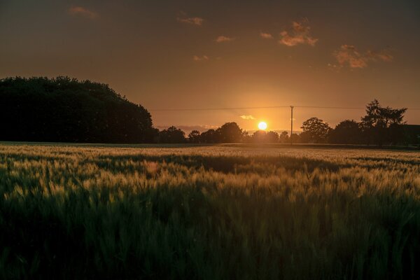 Beau lever de soleil sur le terrain