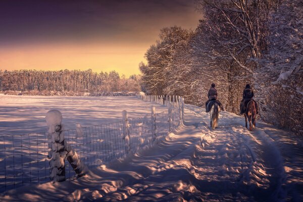 Horse riding in the winter forest