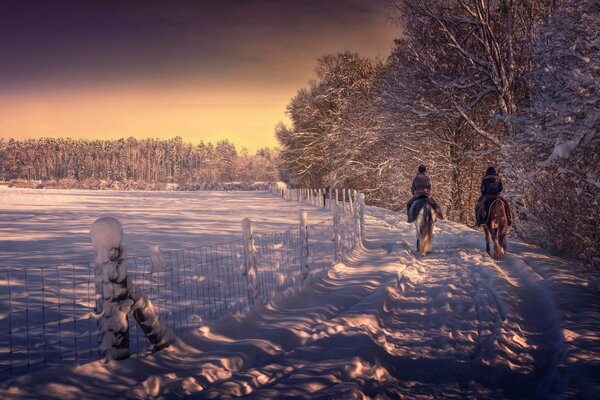 Paseo a caballo por el bosque de invierno