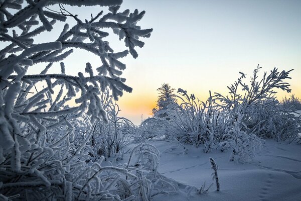 Paesaggio invernale all alba