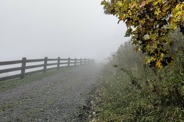 Ein Weg entlang des Zauns, der im Nebel verläuft