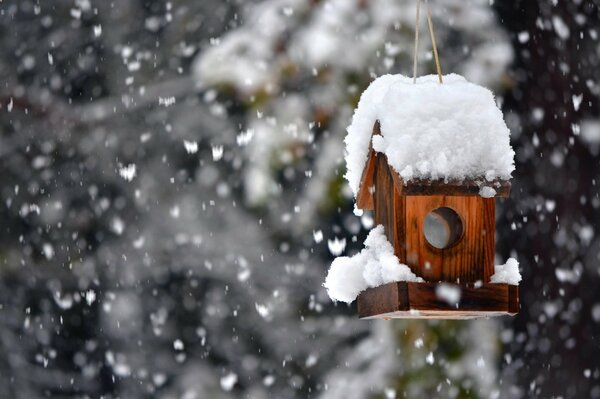 Vogelhaus im Schnee im Winter bei Schneefall