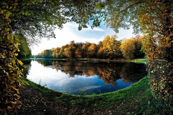 Foto del lago en el bosque