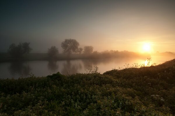 Sunrise and fog on the bank of the village river