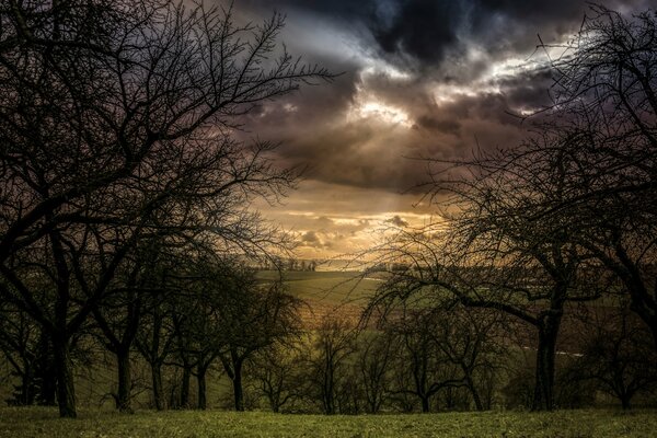 Clouds in the sky, a ray of sun breaks through the gloomy clouds, revealing a view of the field, there are arable trees on it