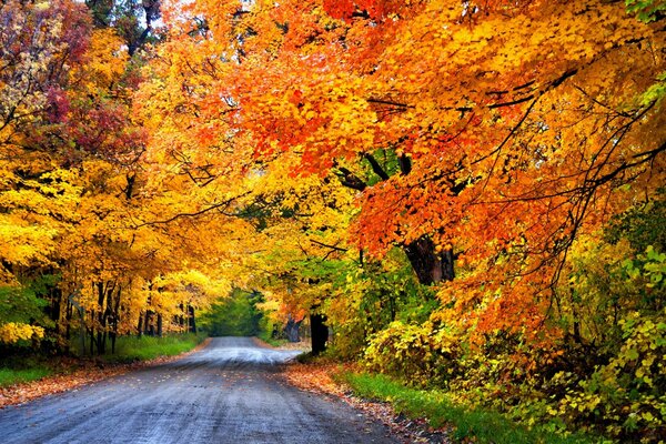 El parque de otoño es muy bonito