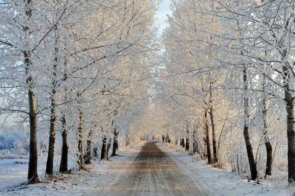 Winterlandschaft Straße und Bäume unter Schnee