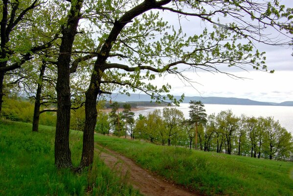 Volga River coast in spring