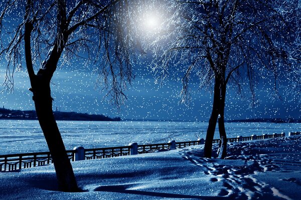 Bellissimo paesaggio notturno invernale