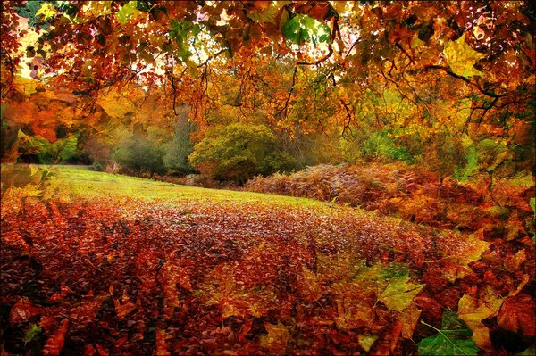 Paesaggio autunnale Nell Hampshire, in Inghilterra