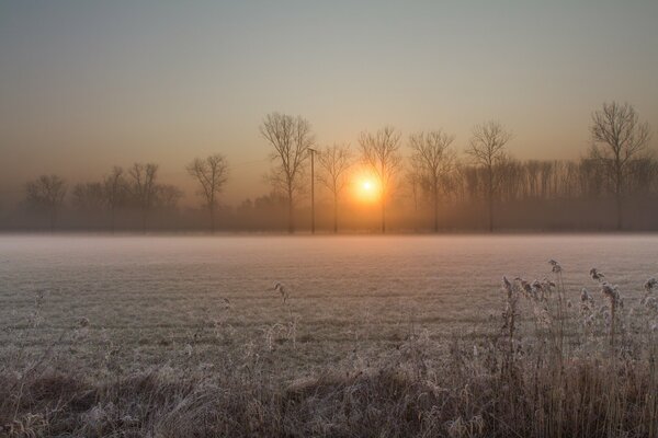 Frostige Morgendämmerung auf den Dorffeldern