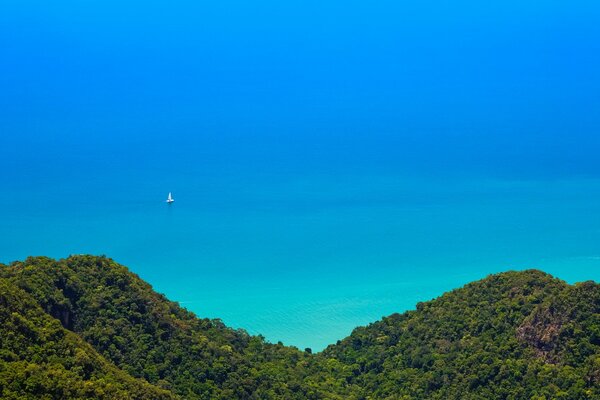 Top view of the jungle and turquoise beautiful ocean