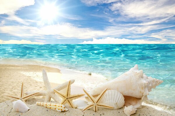 Costa azul. Arena blanca y conchas. Estrellas de mar en la playa. Vacaciones y descanso