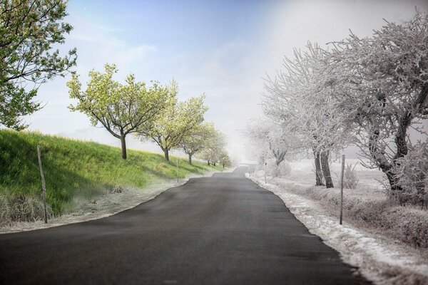 Opposites in nature separated by a road