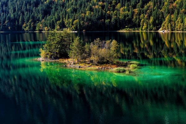 Espejo lago entre las montañas forestales