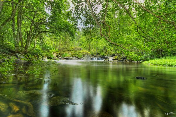 Teich mit klarem Wasser im Schatten von Bäumen