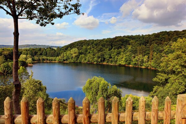 Sommerlandschaft am See, umgeben von dichten Bäumen