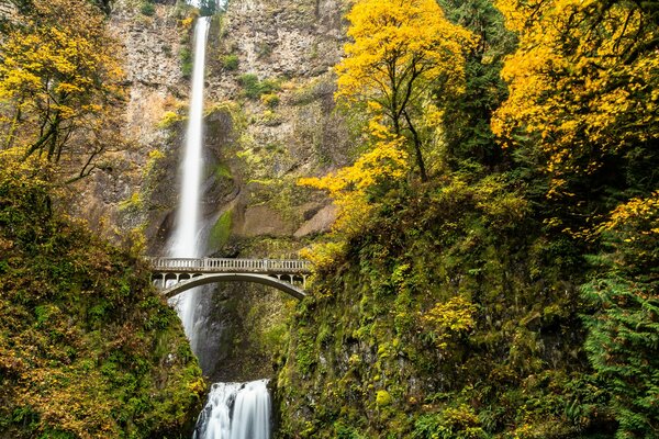 Brücke über einen Wasserfall im Herbstwald