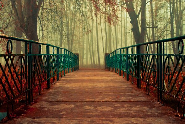 Un pintoresco puente en el bosque de otoño