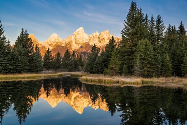 Matin calme dans le parc National