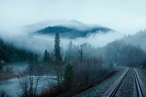 Ferrovia nella foresta nebbiosa