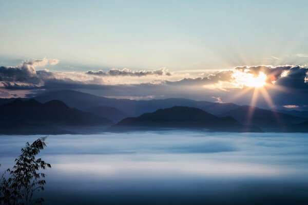 Montagna nuvole tramonto albero