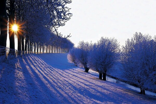 Paisaje de invierno naturaleza al amanecer