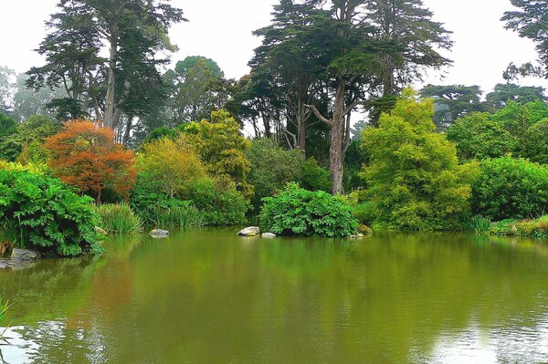 Green botanical garden with pond