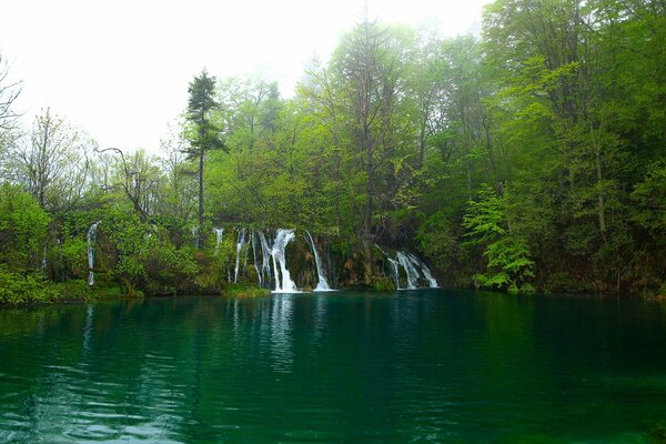 Wasserfall, der im Wald in einen See mündet