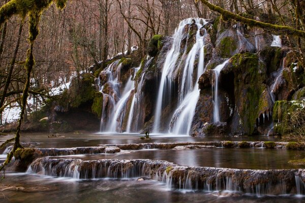 Belle cascade de forêt en cascade