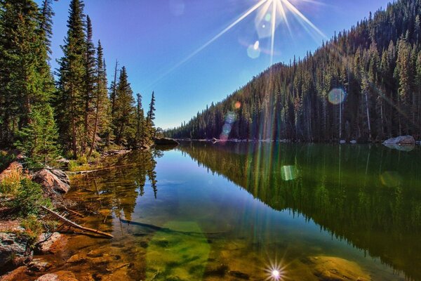 Malerische Aussicht auf den Fluss und den Wald herum. Colorado, USA