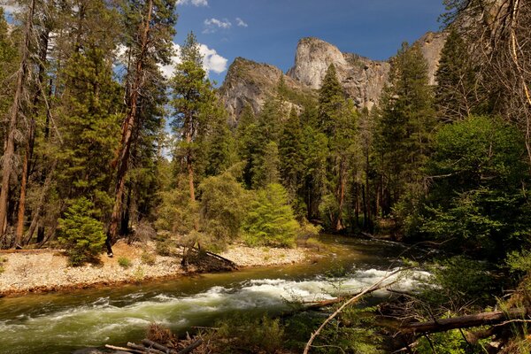 Les parcs forestiers aux États-Unis sont difficiles à atteindre