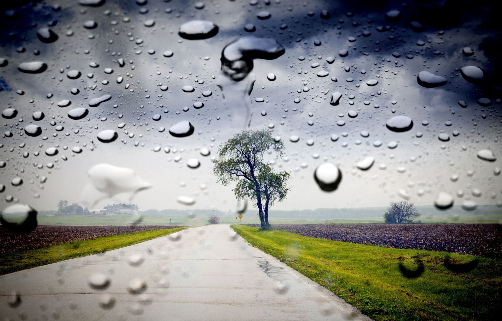 natura drzewo liście liście listki drzewa trawa zieleń ścieżka krople woda szkło okno znak drogowy tło tapeta panoramiczny pełny ekran panoramiczny panoramiczny