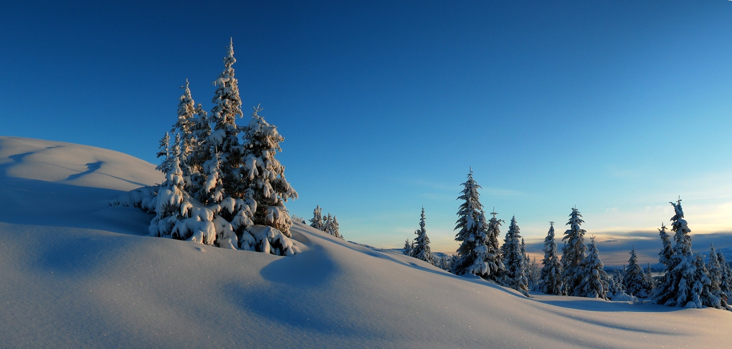 winter snow hills tree spruce sky sunset frost horizon