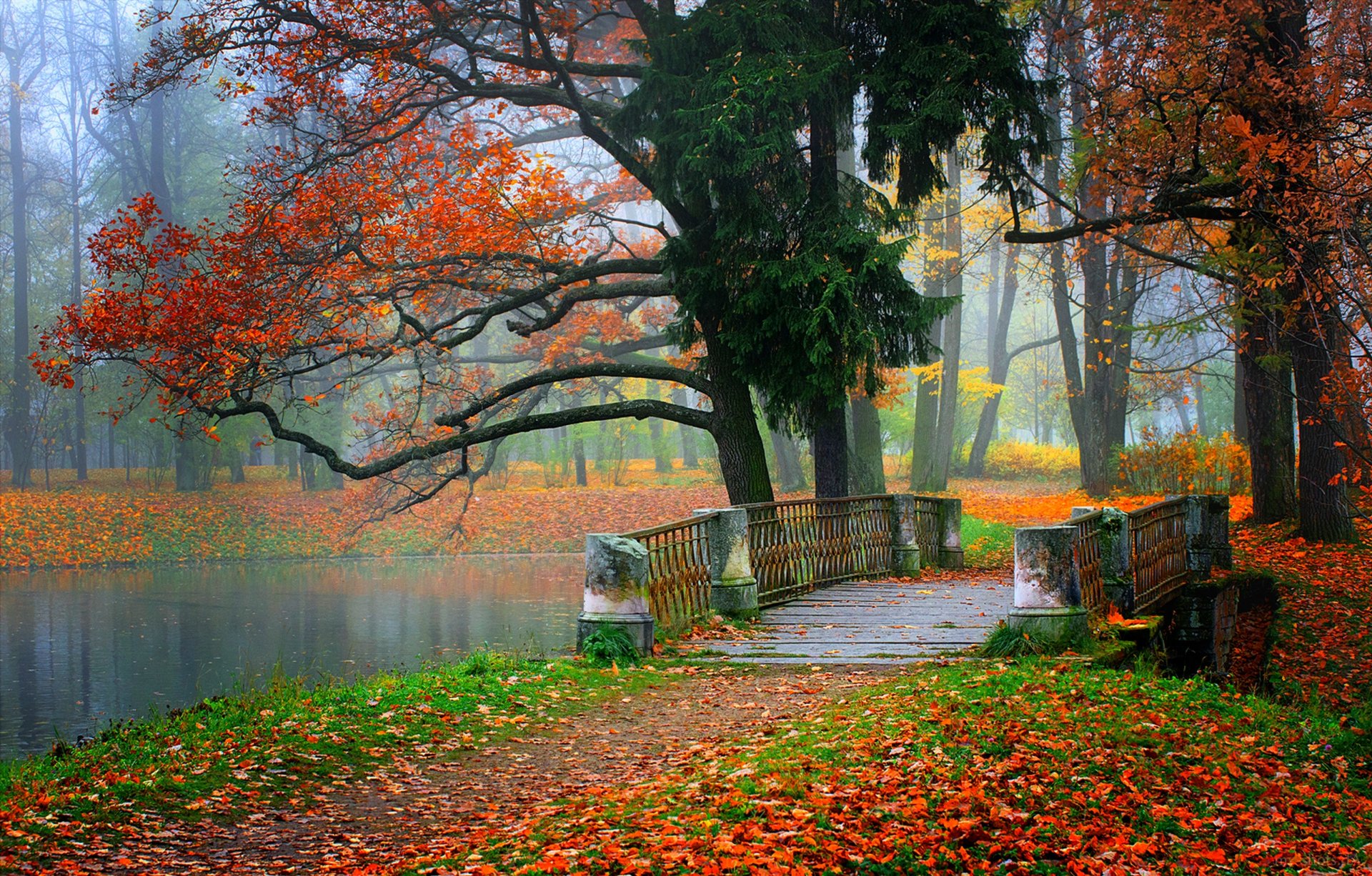 nature rivière eau forêt parc arbres feuilles coloré automne automne couleurs marche montagnes ciel