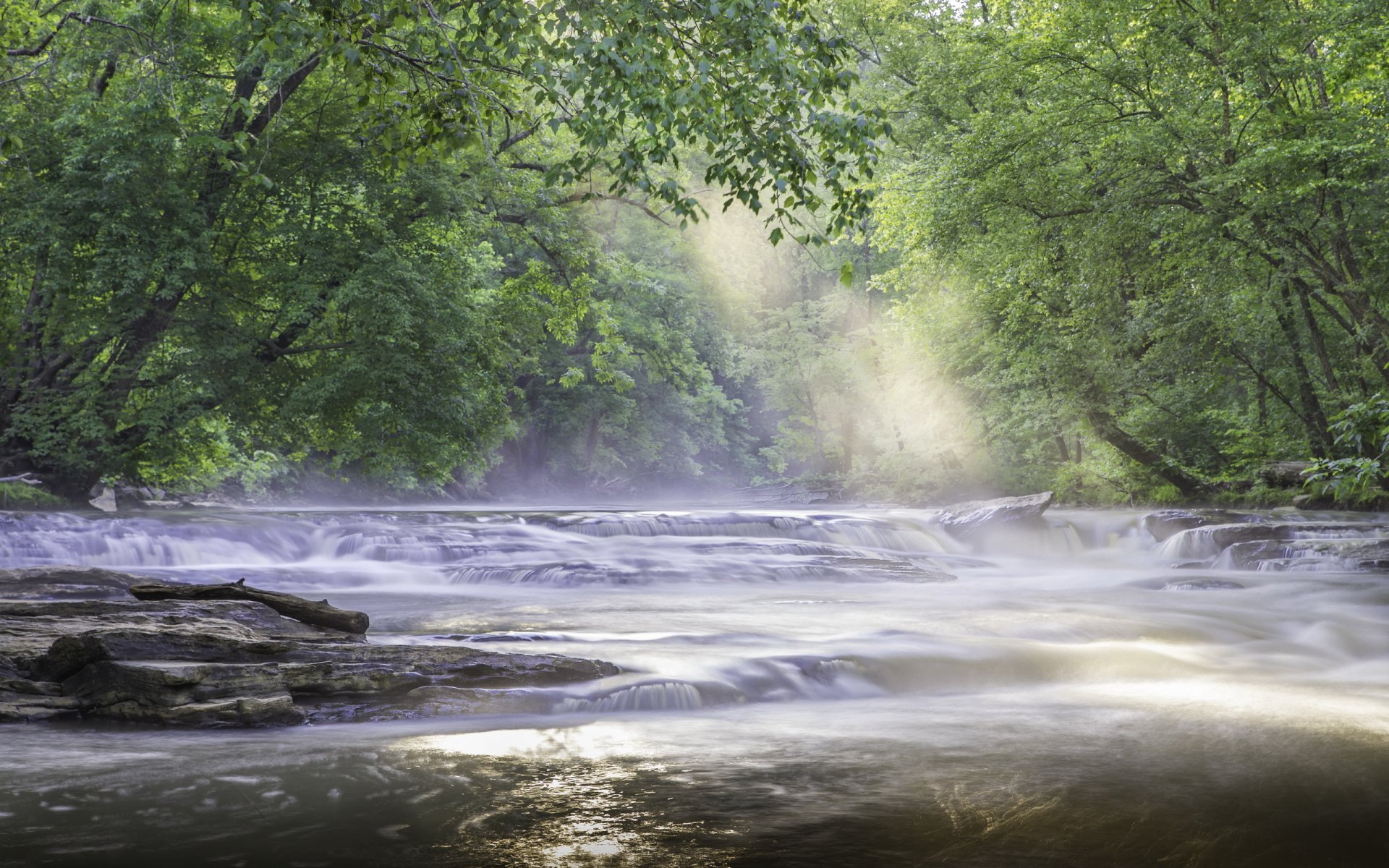 forest river rapids morning spring