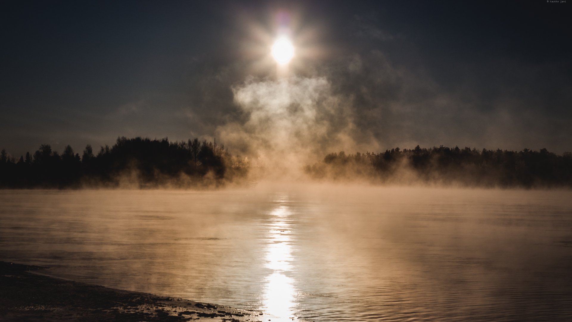 lago foresta sole nebbia freddo