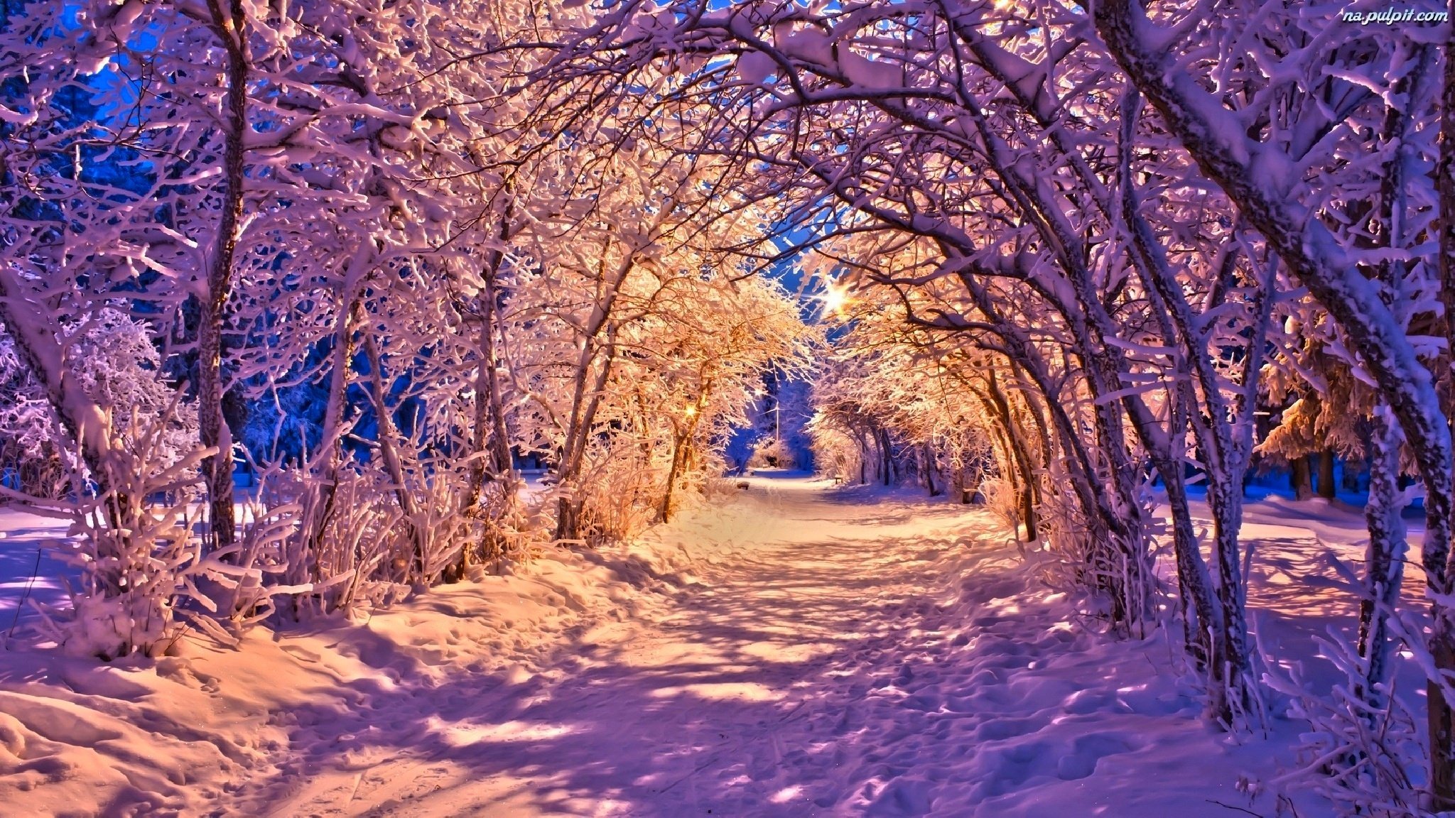 naturaleza invierno banco parque linternas luces nieve carretera árboles bosque paisaje invierno blanco fresco agradable puesta de sol banco linternas