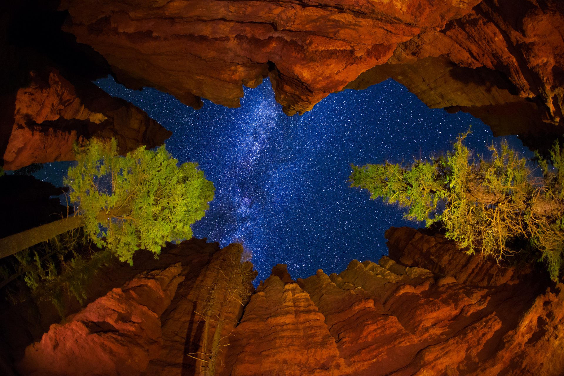 estados unidos utah parque nacional bryce canyon noche cielo estrellas vía láctea rocas árboles